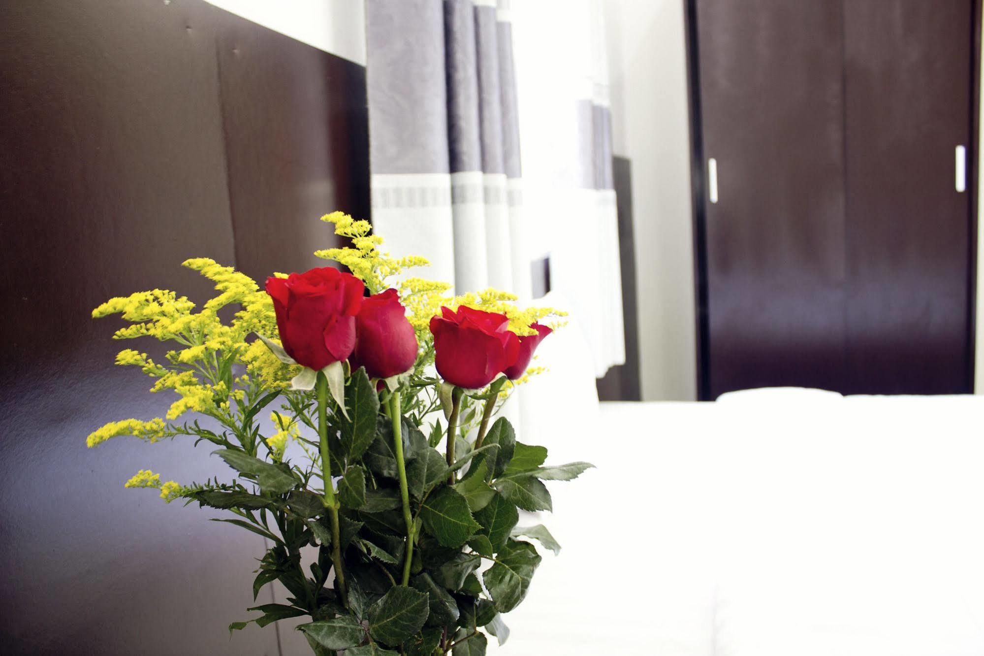 Thy Phuong Da Nang Hotel Extérieur photo